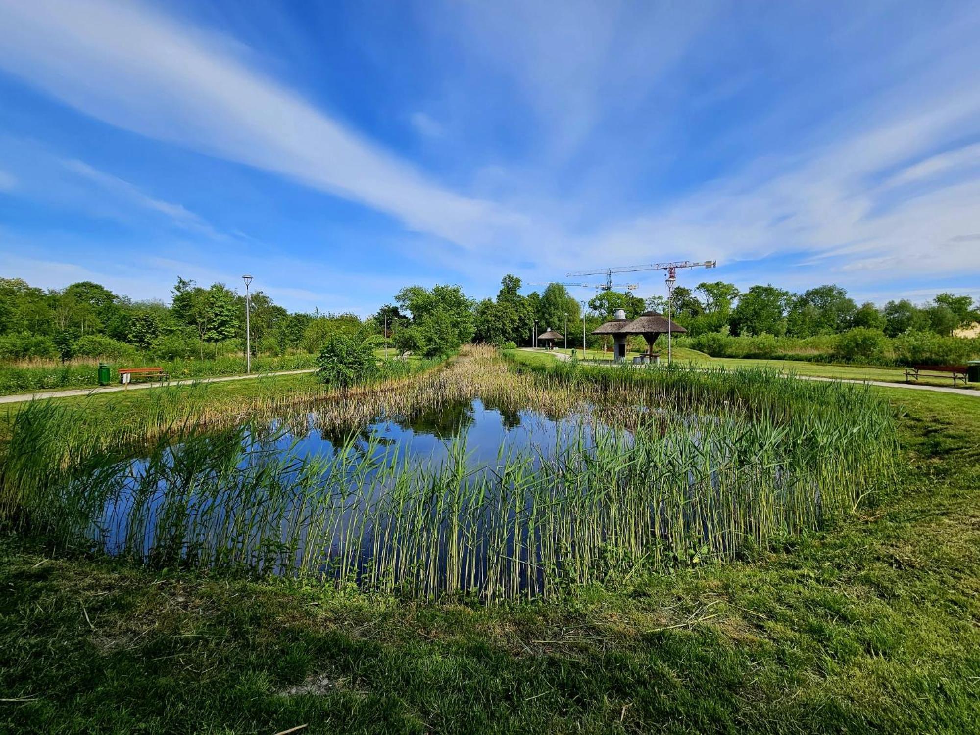 Countryside Studio Borzecin Duzy Eksteriør bilde